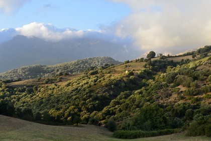 France, Corse du Sud, Sartene region, landscape around Arbellara