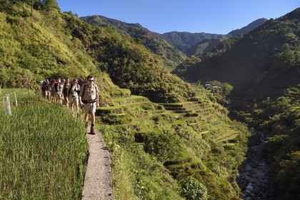 Philippines, province d'Ifugao, randonnée dans les rizières en terrasses de Banaue autour du village de Cambulo, classées Patrimoine Mondial de l'UNESCO