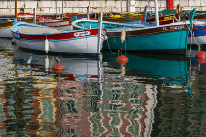 France, Alpes-Maritimes (06), Nice classée Patrimoine Mondial de l'UNESCO, le vieux port ou port Lympia, les pointus qui sont des bateaux de pêche traditionnels