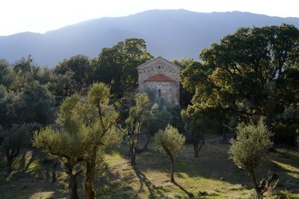 France, Corse du Sud, Alta Rocca, Sainte-Lucie-de-Tallano (Santa Lucia di Tallà), Roman chapel of Saint John the Baptist (Saint-Jean-Baptiste) in the hamlet of Poggio