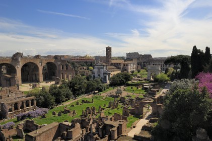Italy, Lazio, Rome, historical center listed as World Heritage by UNESCO, the Roman Forum, the Via Sacra was the main street of ancient Rome leading from the top of the Capitoline Hill to the Colosseum