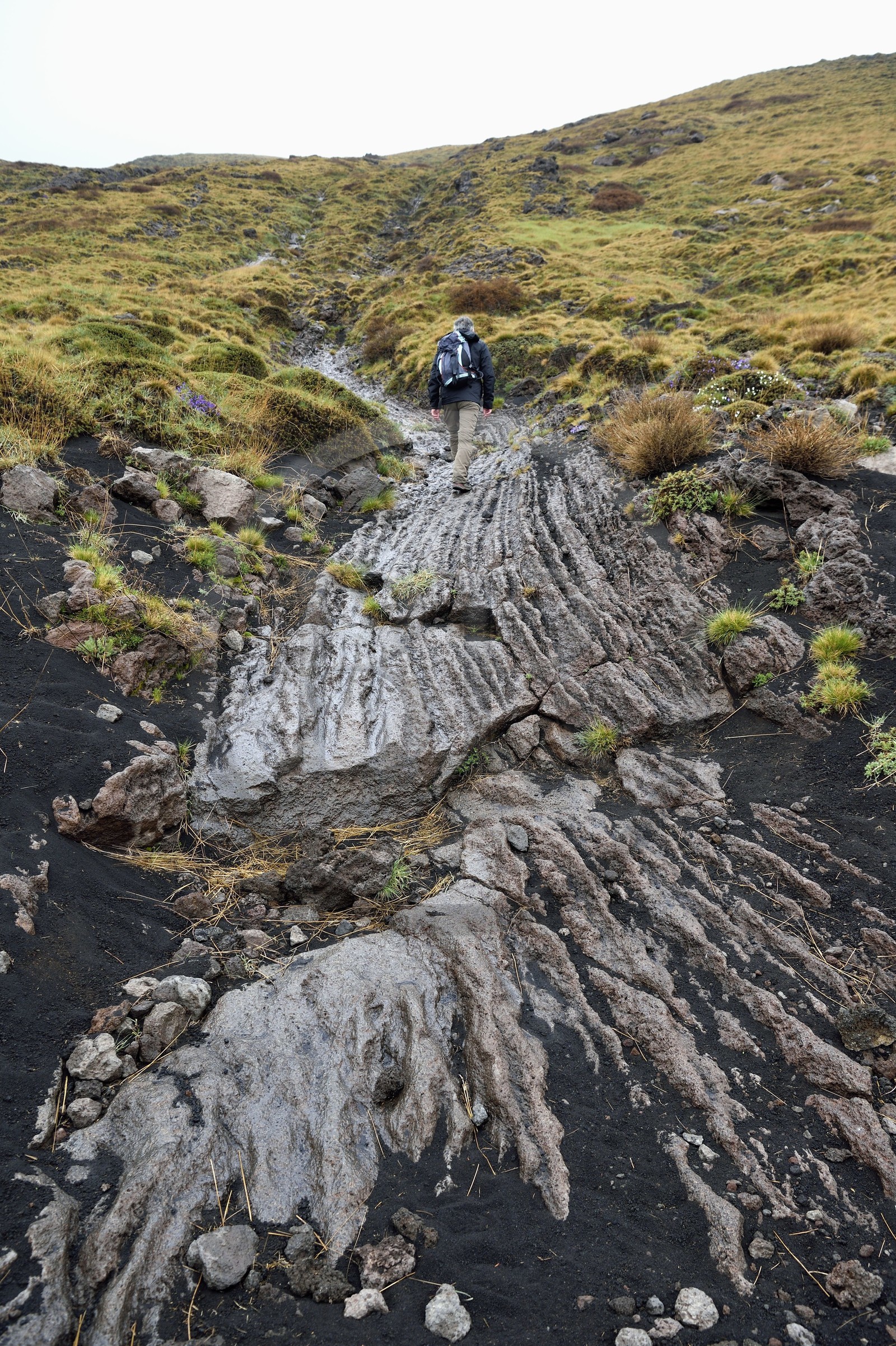 Italie, Sicile, Parc naturel régional de l’Etna, le Mont Etna, classé Patrimoine Mondial de l'UNESCO, randonneur montant sur une ancienne coulée de lave