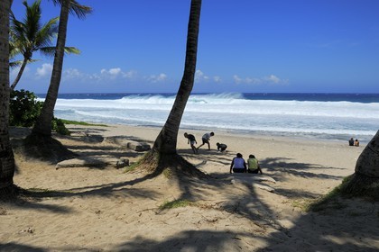 France, île de la Réunion, la côte sud, plage de Grand-Anse