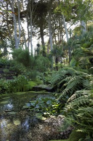 France, Finistère (29), Ile-de-Batz, jardin Georges Delaselle ou jardin colonial, jardin exotique présentant une collection botanique provenant des cinq continents