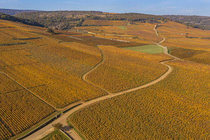 France, Cote d'Or, cultural Landscape of the climates of Burgundy listed as World Heritage by UNESCO, Route des Grands Crus (road of Vintage Wines), the vineyard of the Vosne-Romanée village (aerial view)