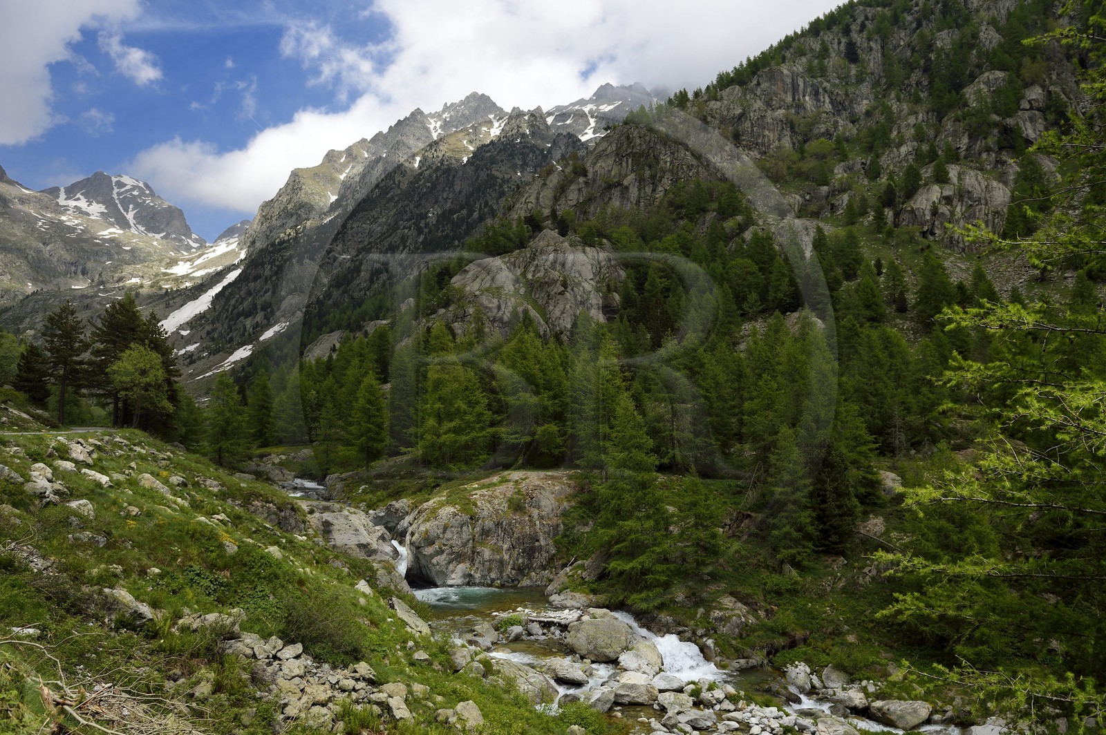 France, Alpes-Maritimes (06), parc national du Mercantour, Haute-Vésubie, vallon de la Gordolasque