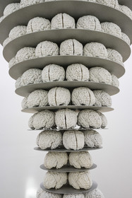 Switzerland, Basel, the Kunstmuseum Basel Gegenwart (contemporary art museum), exhibition Heute Nacht getraumt (dreamed this night) proposed by the artist Ruth Buchanan, Goods rack with brains (1989-1997) by Katharina Fritsch