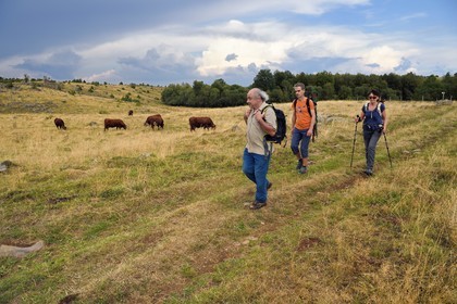 France, Cantal, Parc Naturel Régional des Volcans d'Auvergne (regional nature park of Auvergne volcanoes), Chastel-sur-Murat plateau, hikers on the Way of St. James to Santiago de Compostela by Via Arverna