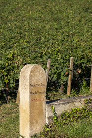 France, Côte-d'Or (21), les climats de Bourgogne classés Patrimoine Mondial de l'UNESCO, Route des Grands Crus, vignoble de la Côte de Beaune, Volnay, borne dans les vignes du domaine Clos du Verseuil Volnay 1er Cru