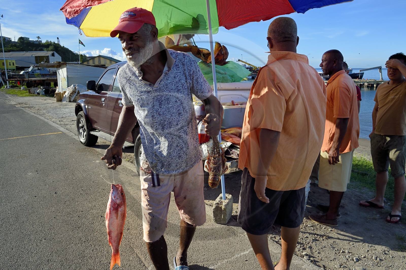 Caraïbes, Ile de la Dominique, la capitale Roseau, vendeur de poissons en bordure de route
