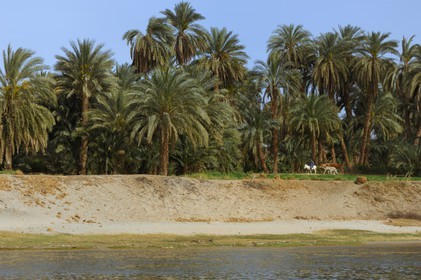 Egypt, Upper Egypt, Nile Valley, the Nile river between Edfou and Kom Ombo