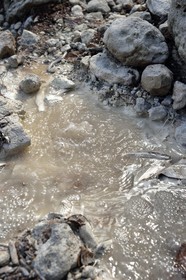 Caraïbes, Ile de la Dominique, rivière du site de la soufrière froide (Cold Soufrière) près du village de Pennville dans le nord de l'île sur le segment 13 du Waitukubuli National Trail