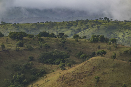 Rwanda, les collines du Parc national de l'Akagera