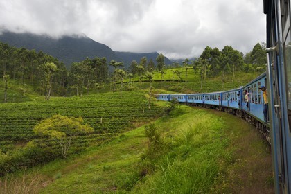 Sri Lanka, Province du Centre, trajet en train dans la région montagneuse de la culture du thé entre Hatton et Badulla, ici entre Talawakele et Great Western
