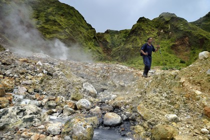 Caraïbes, Ile de la Dominique, Castle Bruce, Parc national du Morne Trois Pitons classé Patrimoine Mondial de l'UNESCO, la Vallée de la Désolation, randonnée sur le sentier menant au Boiling Lake