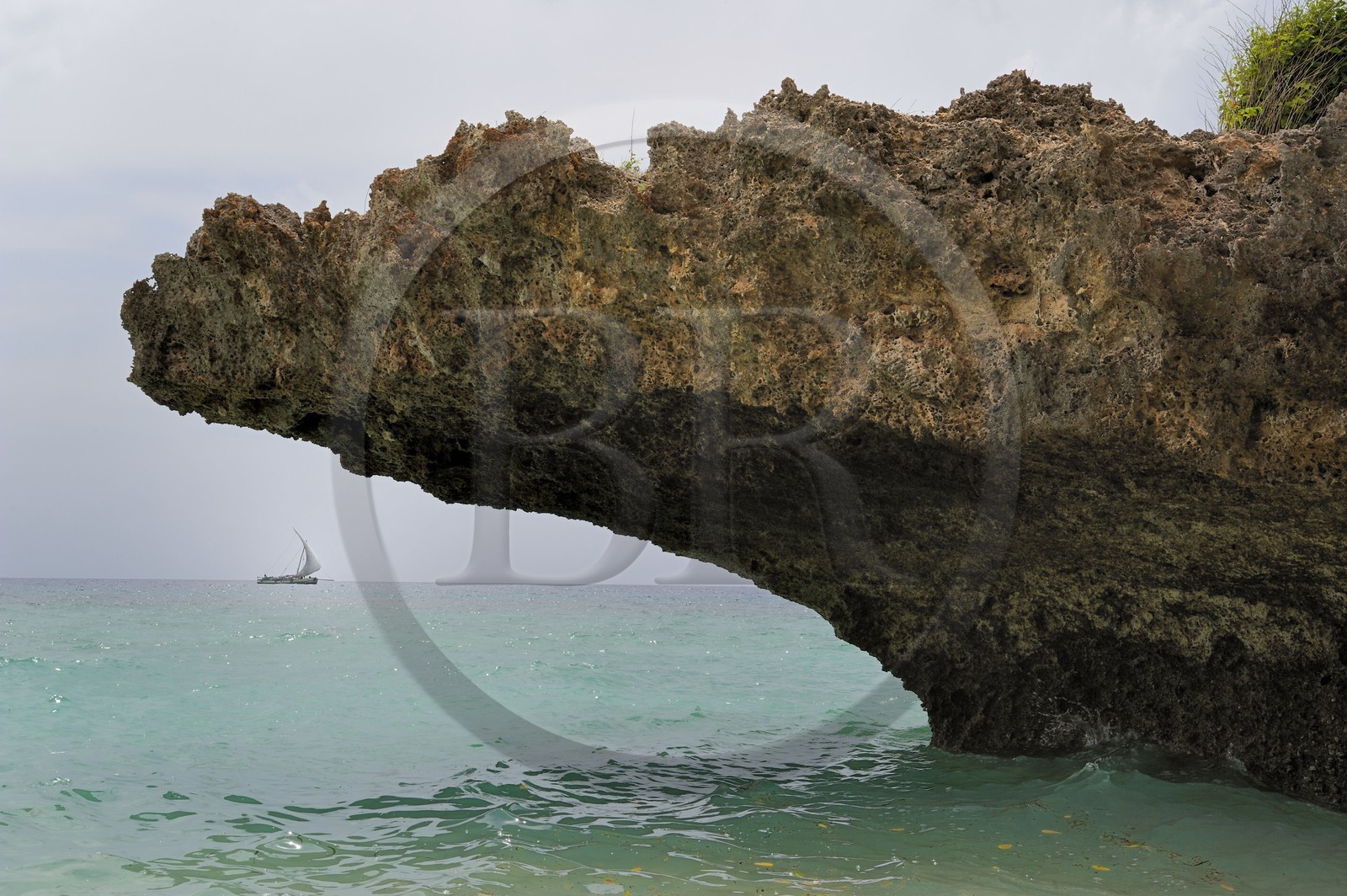 Tanzanie, archipel de Zanzibar, île de Unguja (Zanzibar), côte ouest, Eco-bungalows et réserve naturelle de Chumbe Island Coral Park