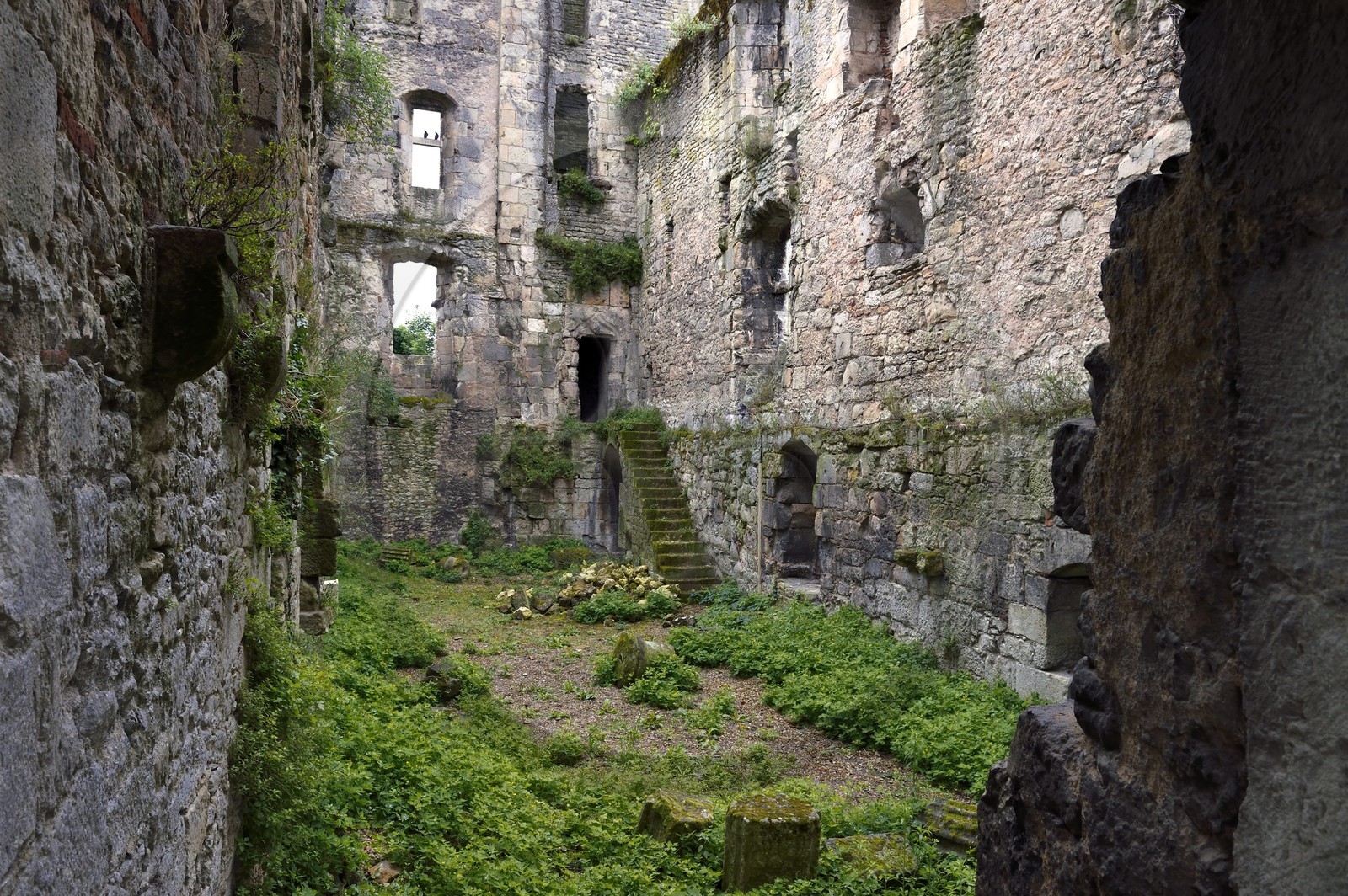 France, Dordogne (24), Périgord Blanc, Périgueux, quartier de la Cité dit de Vésone, ruines du chateau Barrière