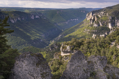 France, Aveyron, Causses and the Cevennes, cultural landscape of Mediterranean agro-pastoralism, listed as World heritage by UNESCO, Causse Noir, La Roque Sainte Marguerite, chaos of Montpellier-le-Vieux, the Cité de Pierres (City of Stones)