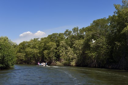 Nicaragua, the Pacific coast of Leon, boat discovery of the Isla Juan Venado Nature Reserve mangrove