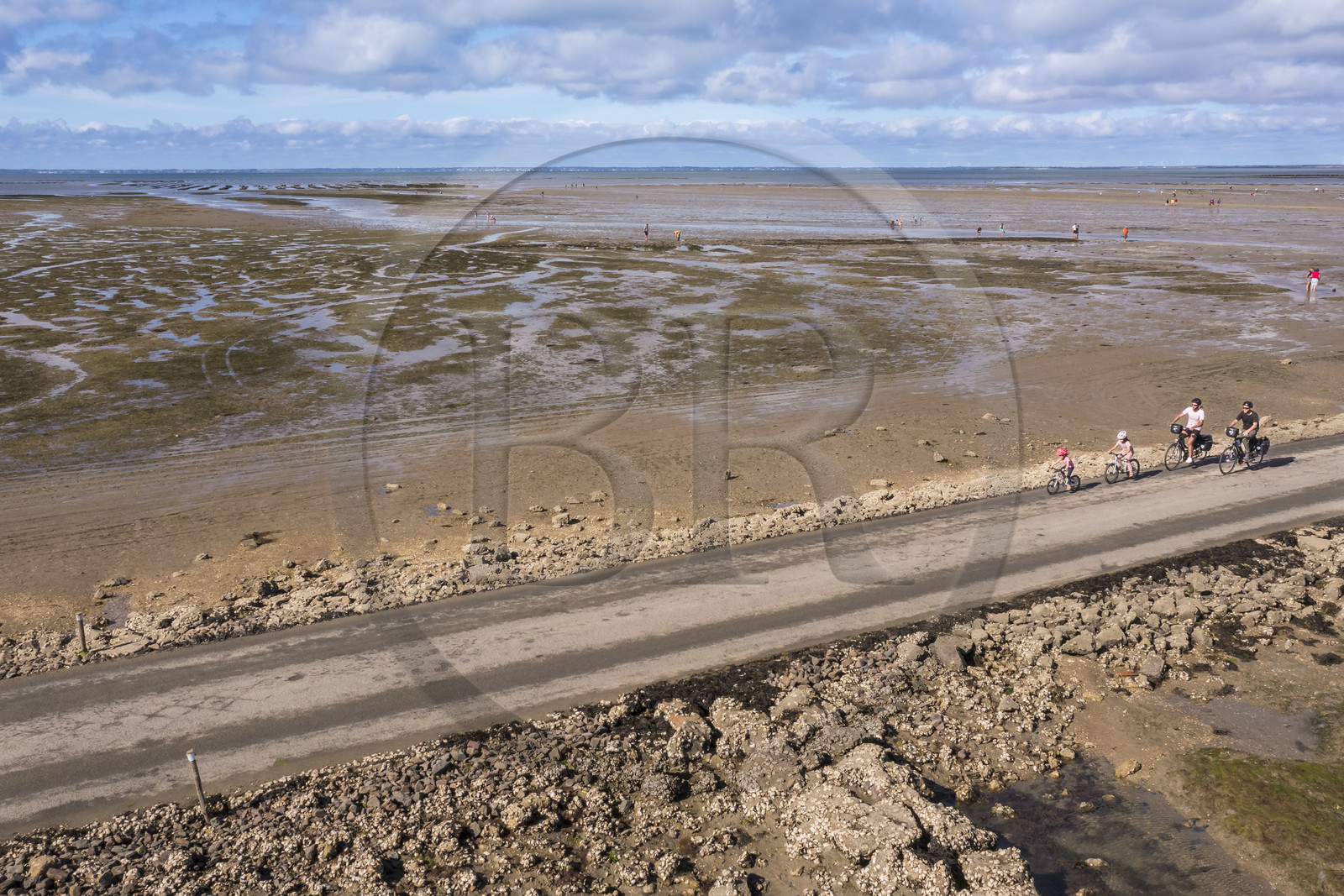 France, Vendee, Noirmoutier island, Barbatre, cyclists on the Passage du Gois, submersible causeway that connects the island to the mainland at low tide (aerial view)