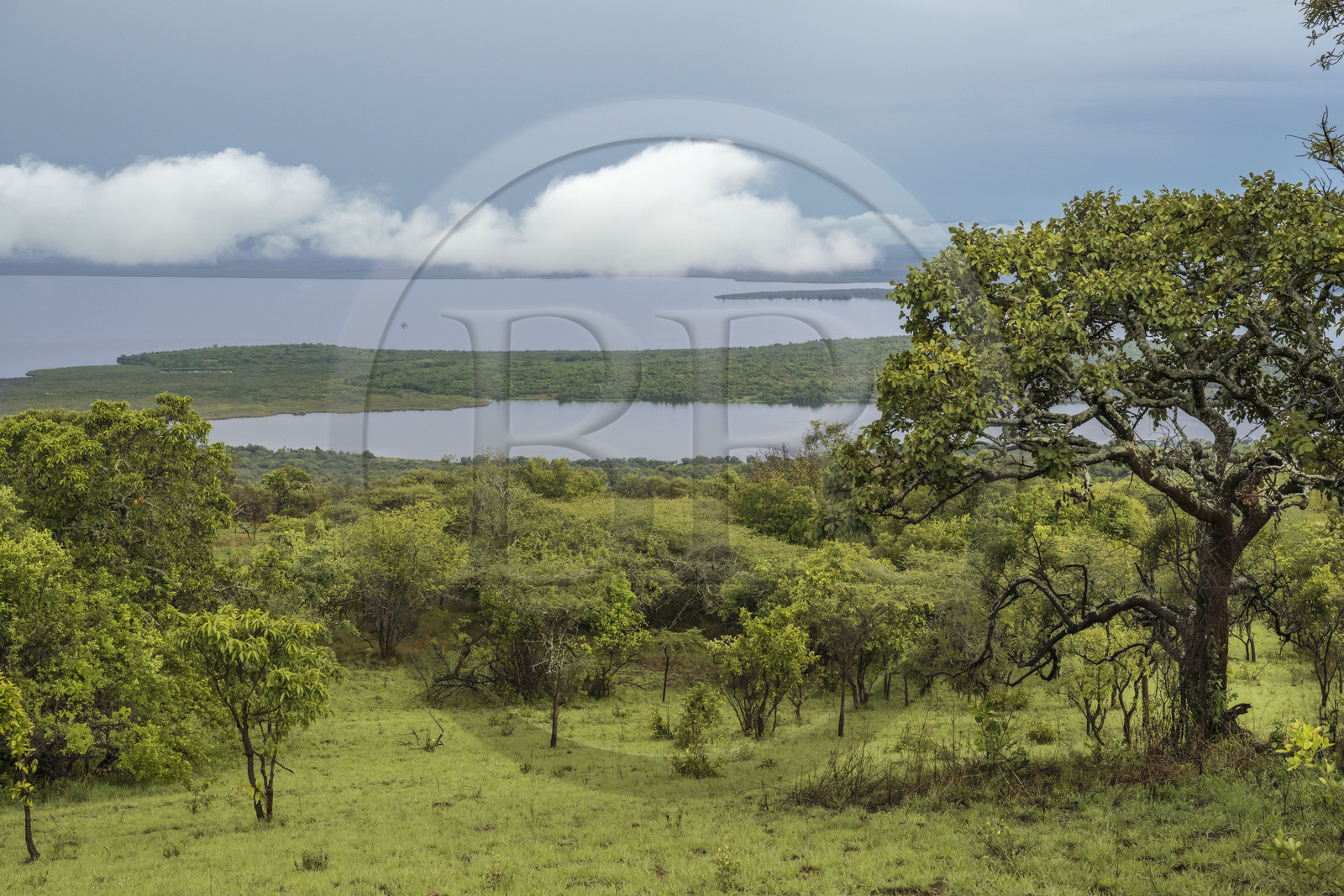 Rwanda, Parc national de l'Akagera, le lac Ihema vu depuis le site de campement de Muyumbu