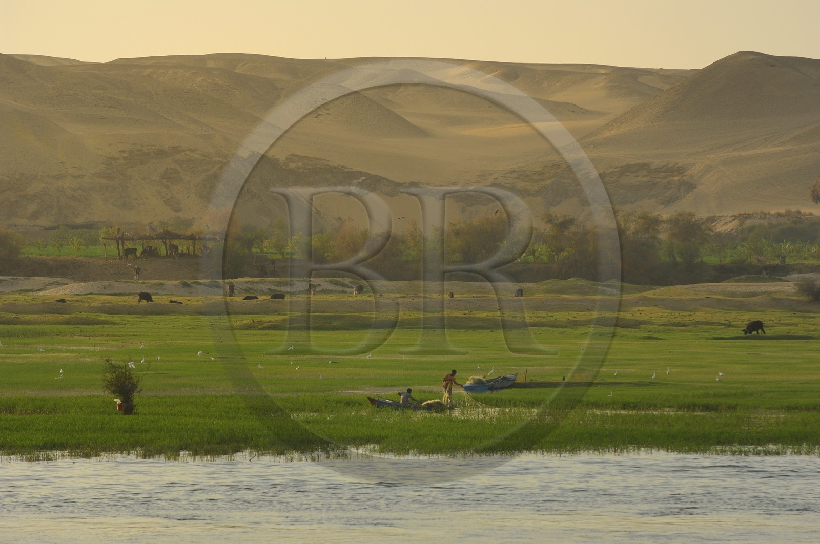 Egypte, Haute Egypte, vallée du Nil, barque de pêcheur sur le Nil entre Edfou et Kom Ombo