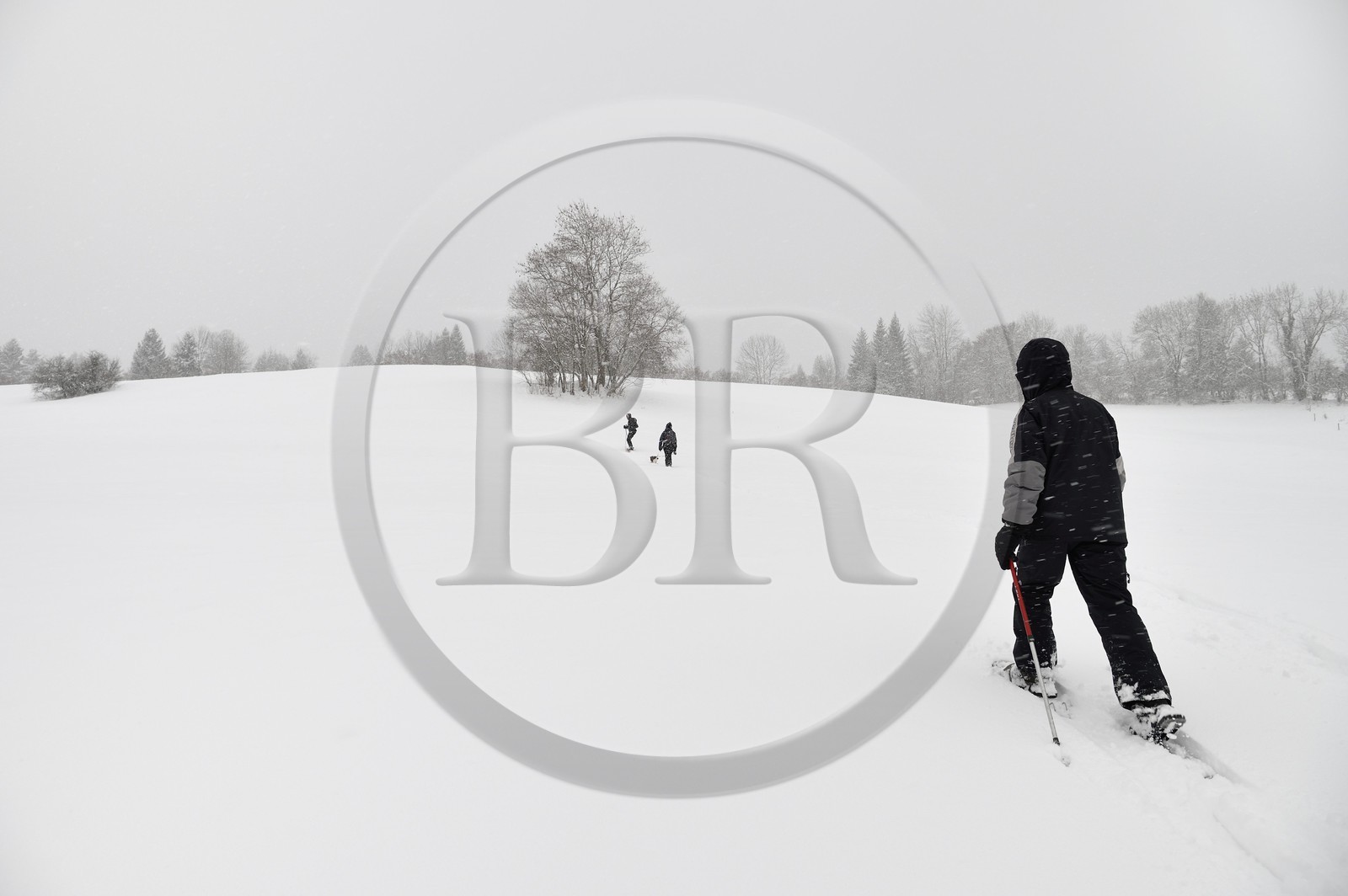 France, Haute-Savoie (74), Arâches-la-Frasse, station de ski Les Carroz d'Arâches, randonnée en raquettes
