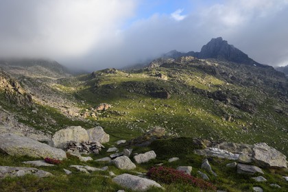 France, Alpes-Maritimes, parc national du Mercantour (Mercantour National Park), the Vallee des Merveilles (Valley of Wonders) scattered with thousands of rupestral engravings of the Bronze Age and the Merveilles Mount (2720m)