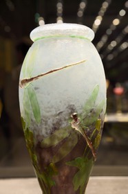France, Meurthe-et-Moselle, Nancy, Stanislas square, Fine Arts museum, hall of the Daum collection, vase with dragonflies and buttercups (1904)