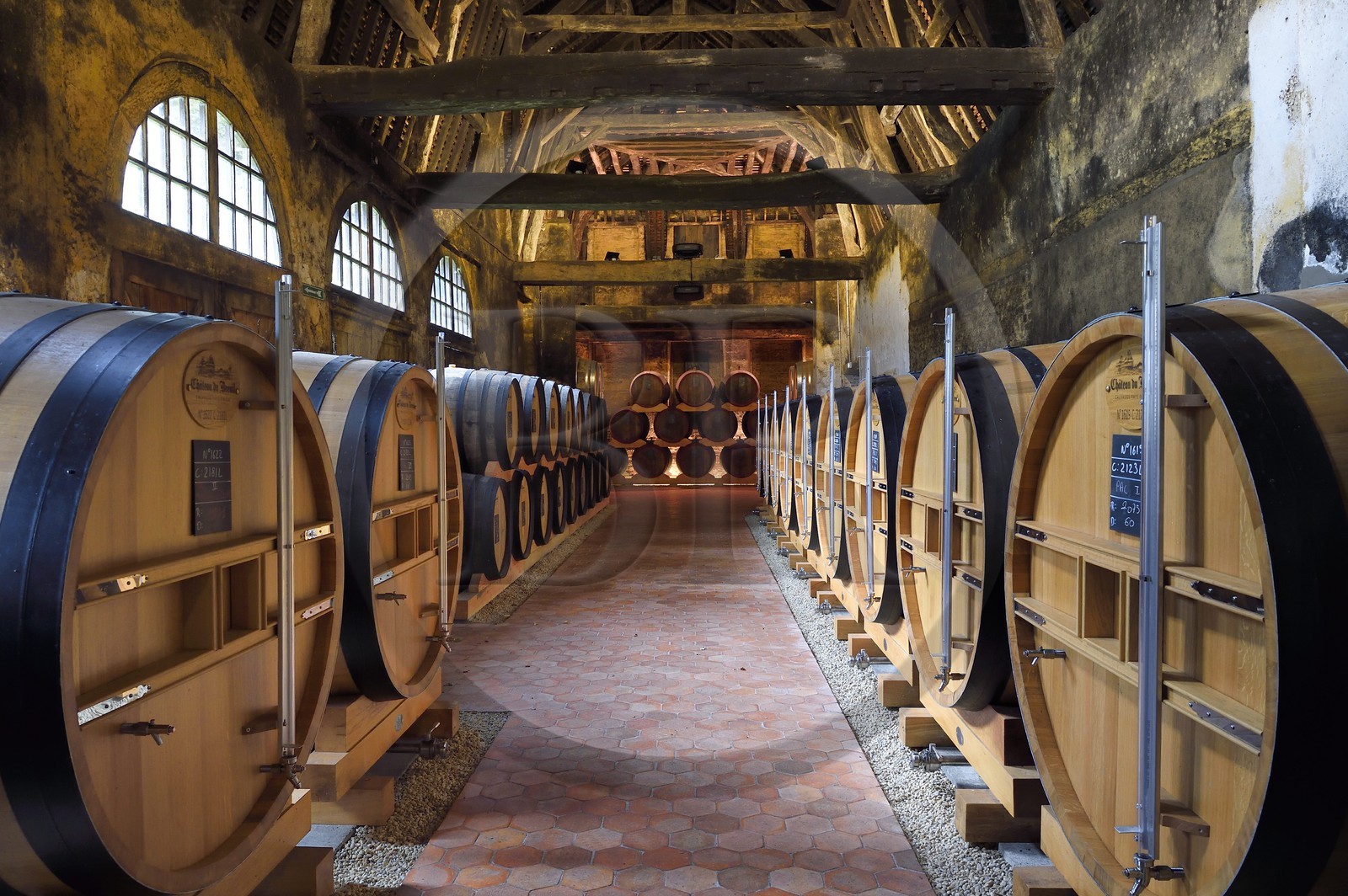 France, Calvados, Pays d'Auge, Le Breuil en Auge, Chateau du Breuil producer of Calvados AOC Pays d'Auge, barrels in aging cellars