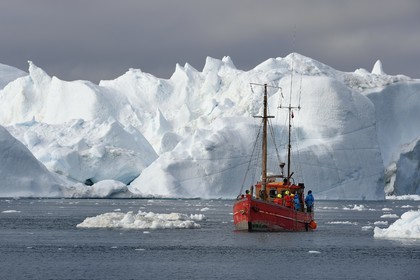 Groenland, cote ouest, baie de Disko, Ilulissat, fjord glacé classé Patrimoine Mondial de l'UNESCO qui est l’embouchure maritime du glacier Sermeq Kujalleq, ancien bateau de pêche reconverti pour la découverte des icebergs et l'observation des baleines