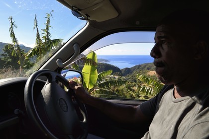 Caraïbes, Ile de la Dominique, sur la route Imperial Road vers Pont-Cassé