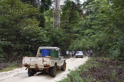Gabon, province de Ogooué- Maritime, Omboué, région du Loango, voiture ensablée sur une piste en forêt