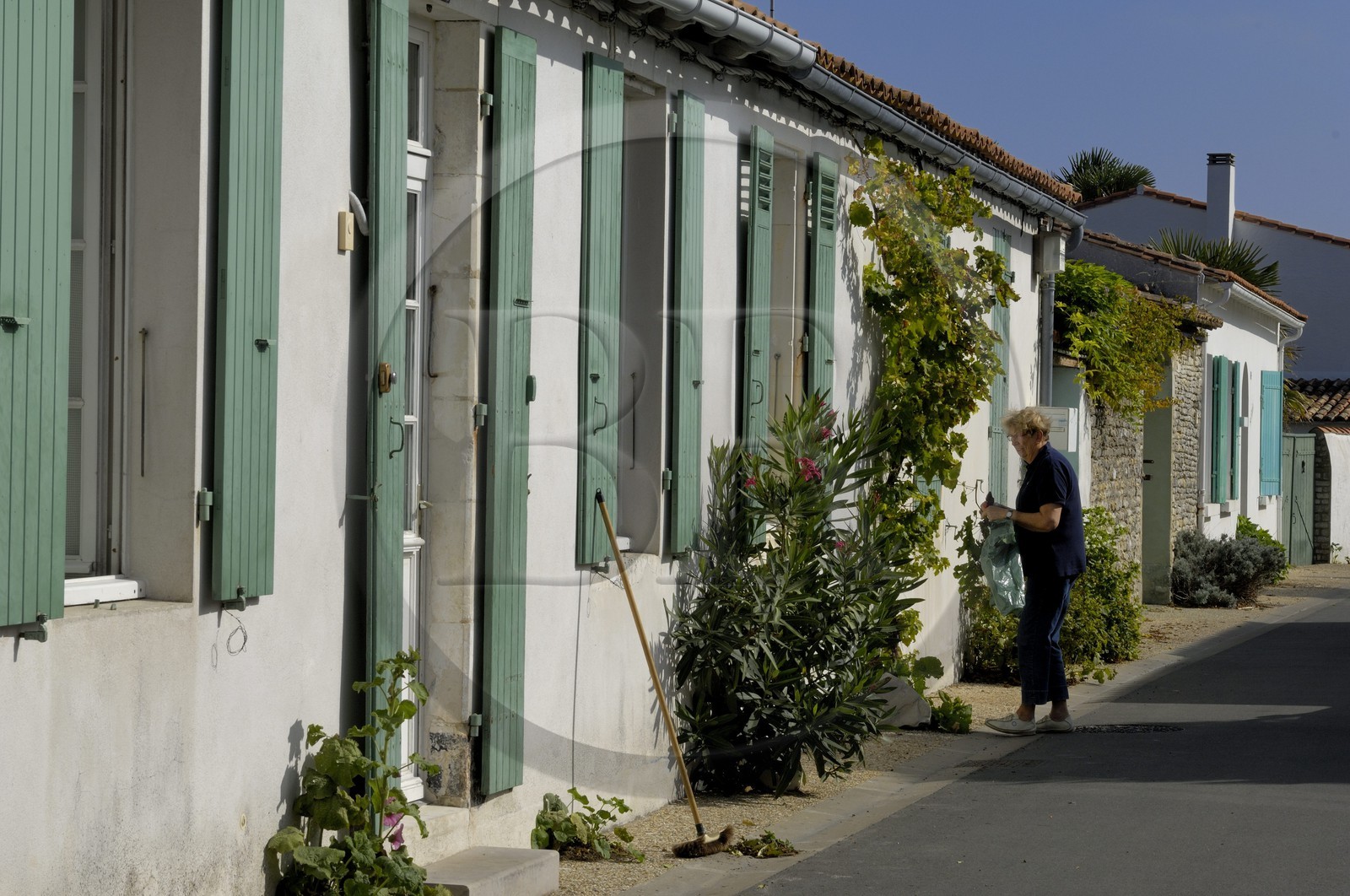 France, Charente-Maritime (17), ile de Ré, La Couarde-sur-Mer