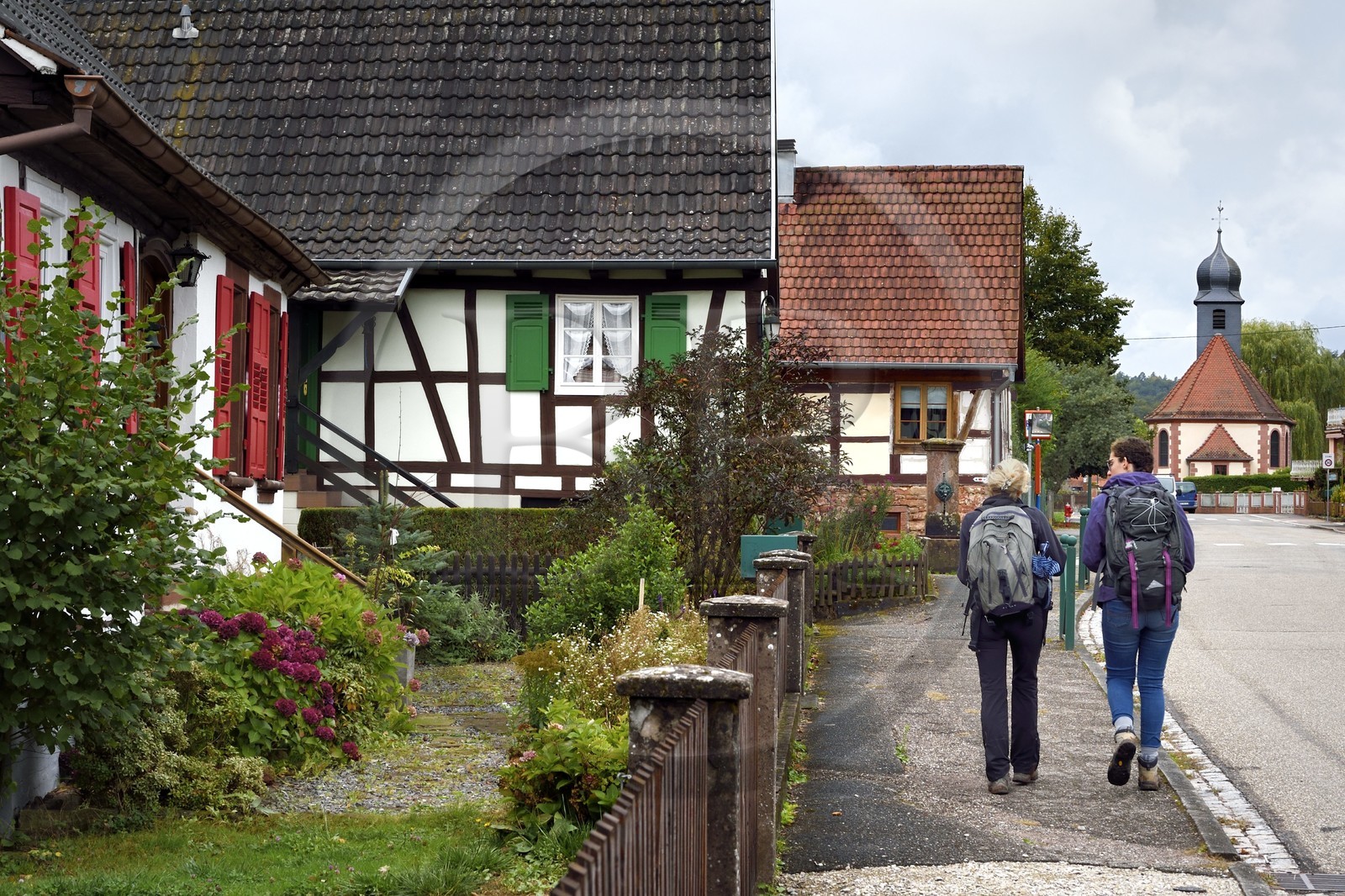 France, Bas-Rhin (67), Parc naturel régional des Vosges du Nord, Obersteinbach, maison traditionnelle à pans de bois dans la rue principale