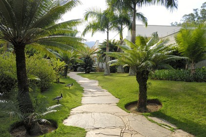 Brésil, Etat du Minas Gerais, région de Belo Horizonte, Brumadinho, centre d'art contemporain Inhotim
