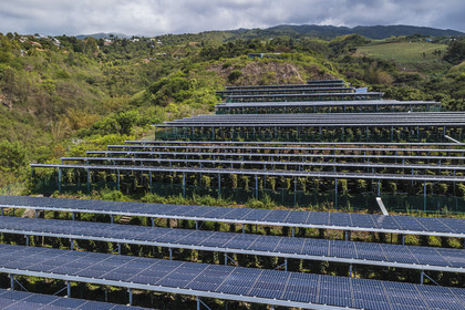France, Ile de la Reunion, Saint-Louis, Domaine de Bellevue, producteur de vanille Planifolia biologique issues d'orchidées cultivées sous cinq hectares de panneaux photovoltaïques qui permettent d'alimenter plus de 1 800 foyers en électricité (vue aérienne)