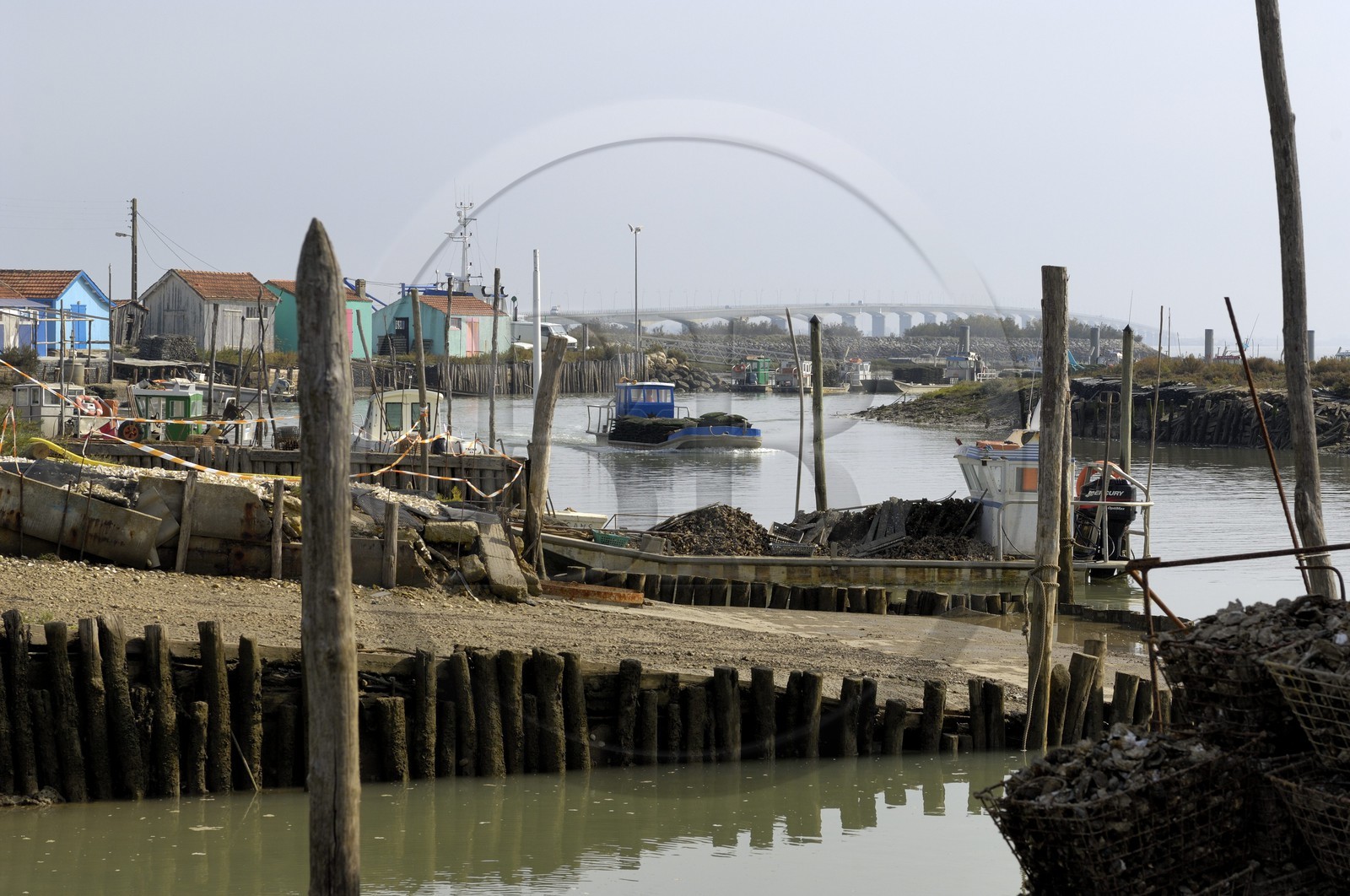 France, Charente-Maritime (17), Ile d'Oléron, le chenal d'Ors, chaland à huîtres dans le port ostréicole