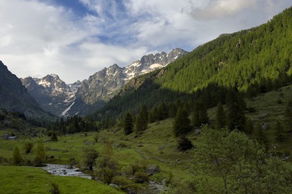 France, Alpes-Maritimes, parc national du Mercantour ( Mercantour national park), Haute-Vesubie, Gordolasque valley
