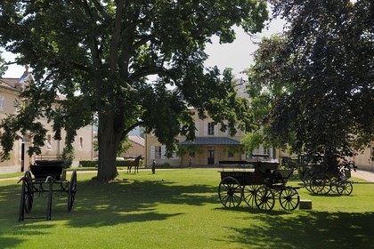 France, Saône et Loire (71), Cluny, le Haras national