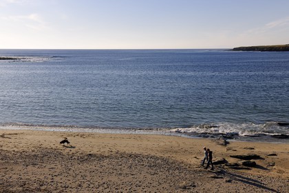 Royaume-Uni, Ecosse, Iles Orcades, Ile de Mainland, la Baie de Skaill à Skara Brae