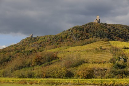 France, Bas Rhin, Ramstein castle left and Ortenbourg castle right