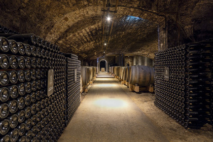 France, Cote d'Or, Climats terroirs of Burgundy listed as World Heritage by UNESCO, Beaune, the cellars of Maison Patriarche, a wine merchant-breeder company