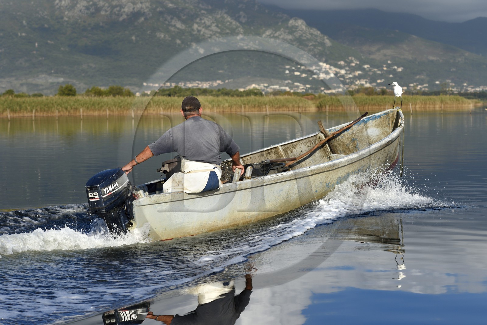 France, Haute-Corse (2B), pecheur en barque sur l'étang de Biguglia (stagnu di Chjurlinu) et Aigrette garzette (Egretta garzetta), réserve naturelle de Corse (RNC) France, Haute-Corse (2B), pecheur en barque sur l'étang de Biguglia (stagnu di Chjurlinu) et Aigrette garzette (Egretta garzetta), réserve naturelle de Corse (RNC)