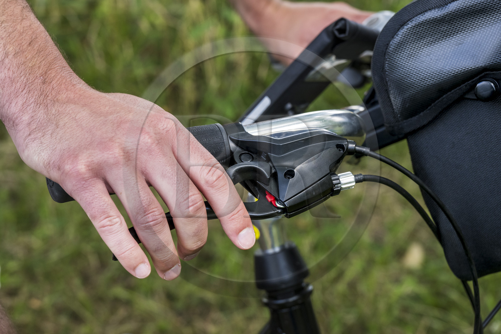 France, Deux-Sèvres (79), le Marais Poitevin, la Venise Verte, bicyclette concue pour la randonnée (détail)