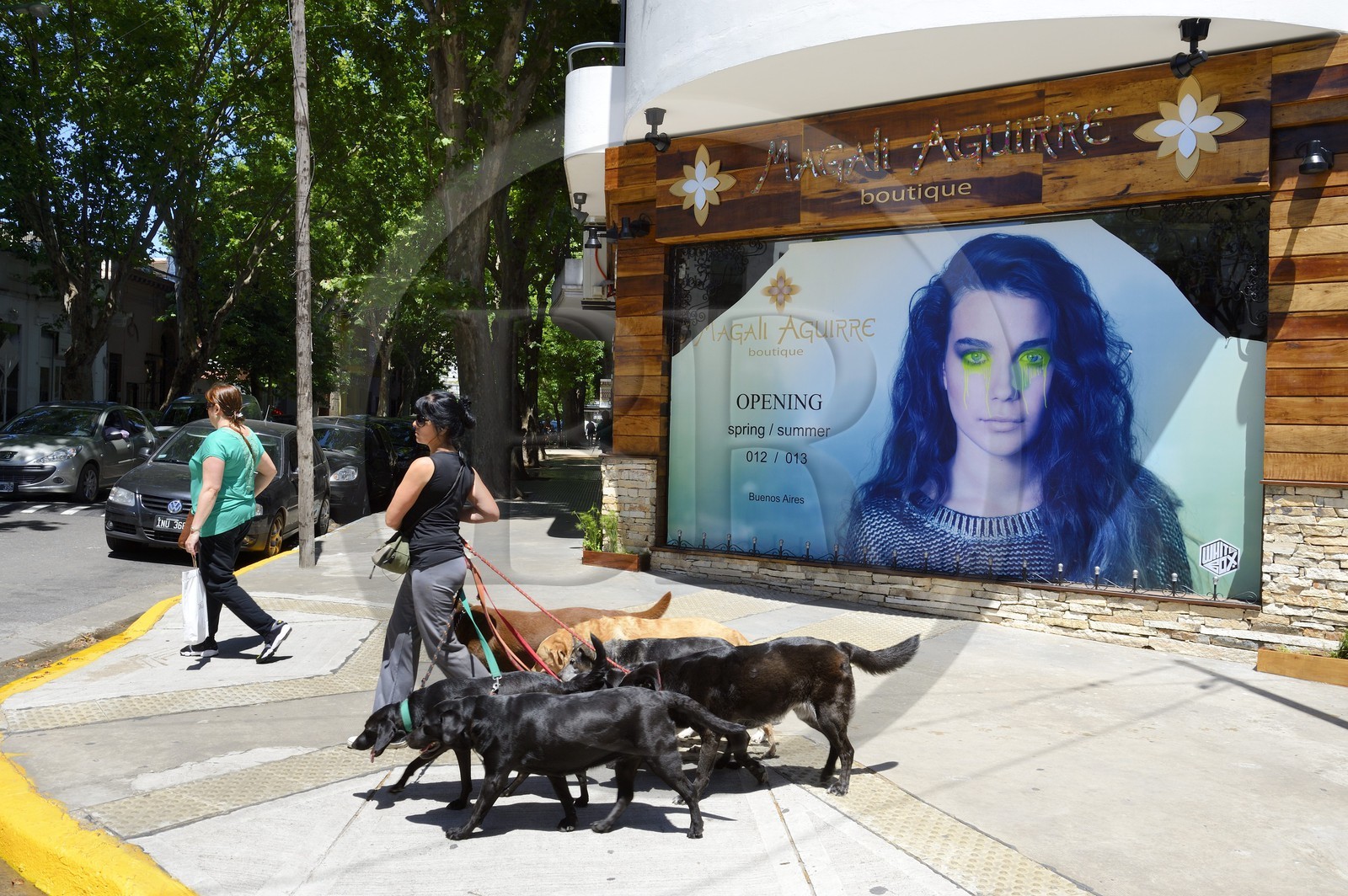 Argentina, Buenos Aires, Palermo district, dog walker