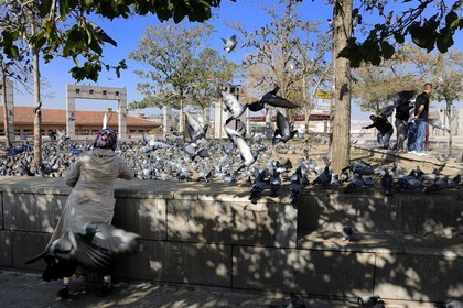 Turquie, Anatolie centrale, Ankara, petite place aux pigeons devant le temple d'Auguste