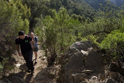 France, Var, Massif des Maures, Collobrières, Lambert menhirs hiking in the valley behind the village on the GR90