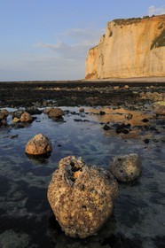 France, Seine-Maritime, Cote d'Albatre, Vattetot-sur-Mer, the cliffs and the beach at low tide