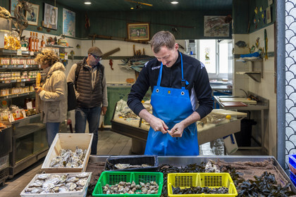 France, Ille et Vilaine, Cote d'Emeraude (Emerald Coast), Saint Malo inner city, Guinemer Fish Store in rue de l'Orme